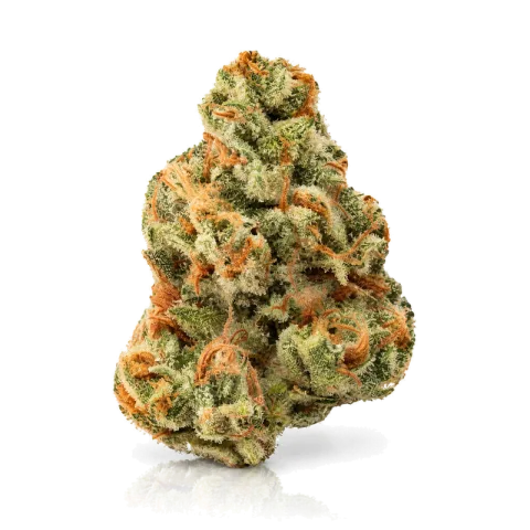 Afghani SA