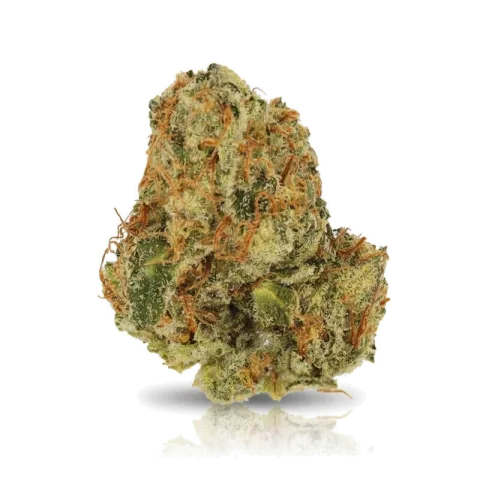 Afghani