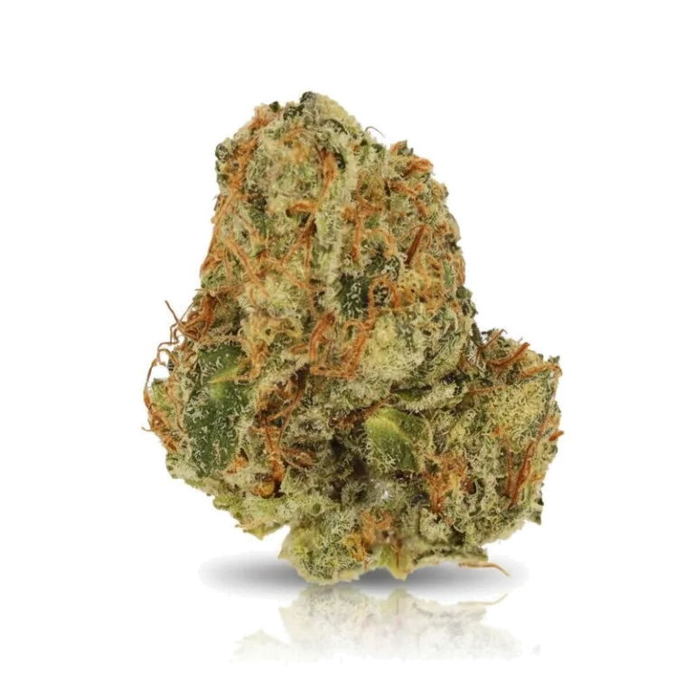Black Amber, Symbolbild Cannabisblüte