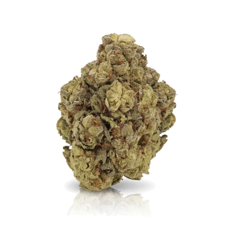 Proxy, Symbolbild Cannabisblüte