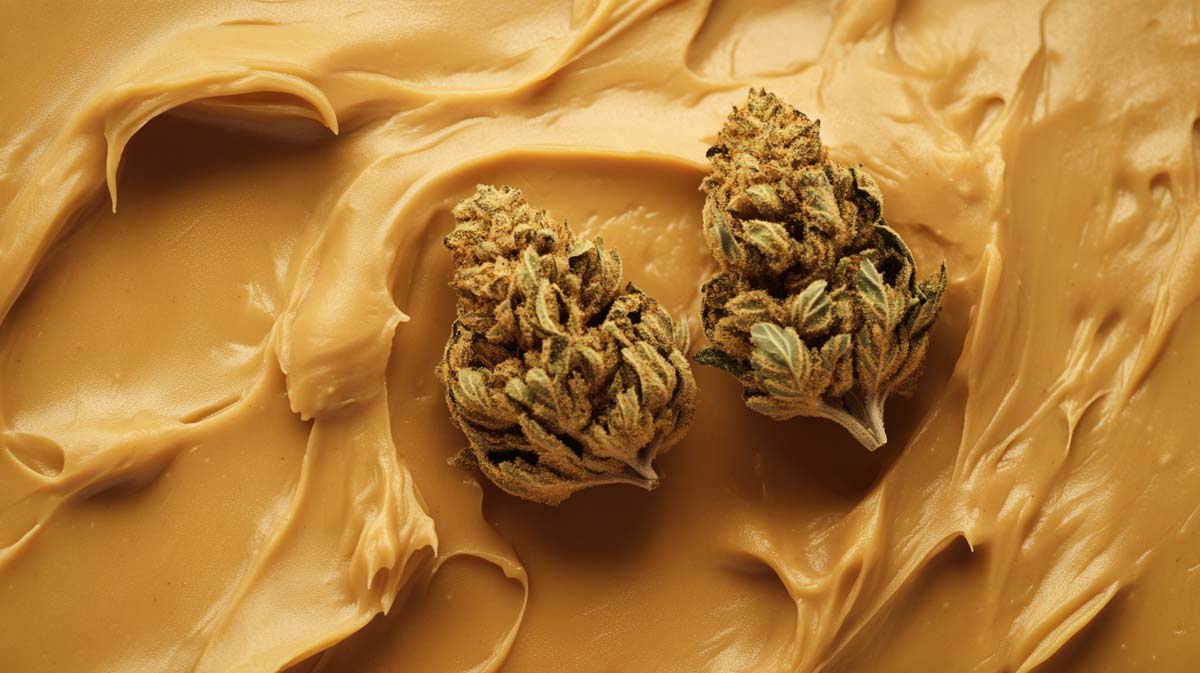 Cannabis Terpen Humulen: Erdig, Holzig, Hopfig, Leicht Würzig