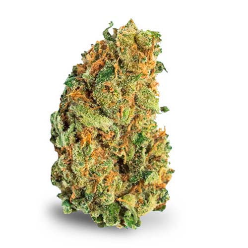 Avaay Sorten — Übersicht aller Blüten, THC-Gehalt und Preise