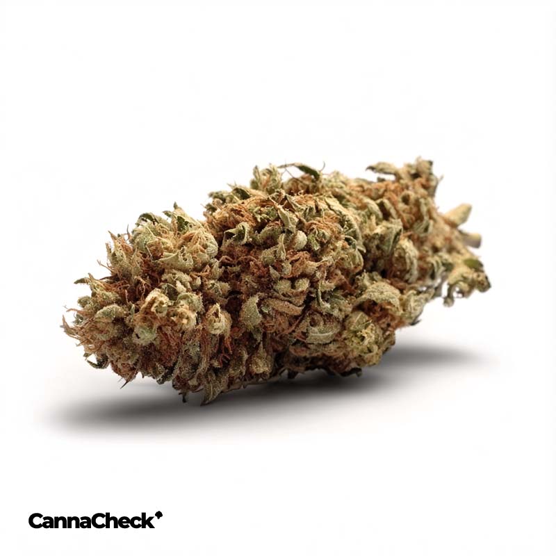 Demecan Epic Drop 30:01 Tiger Eyez