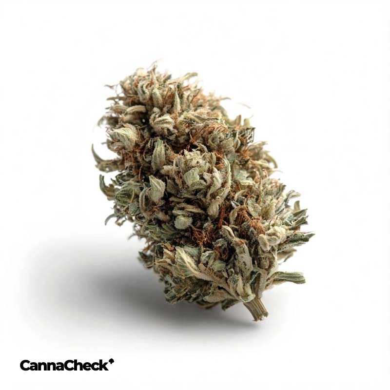 ADREX 1/25 CBD Extrakt