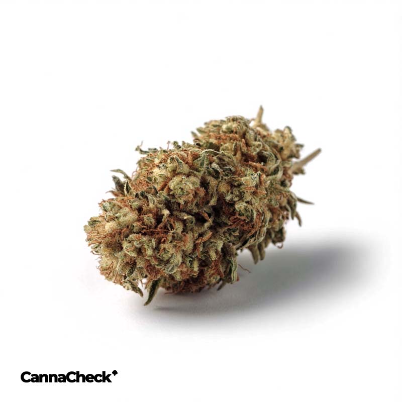 Peace Naturals 31/1 GC GMO Cookies