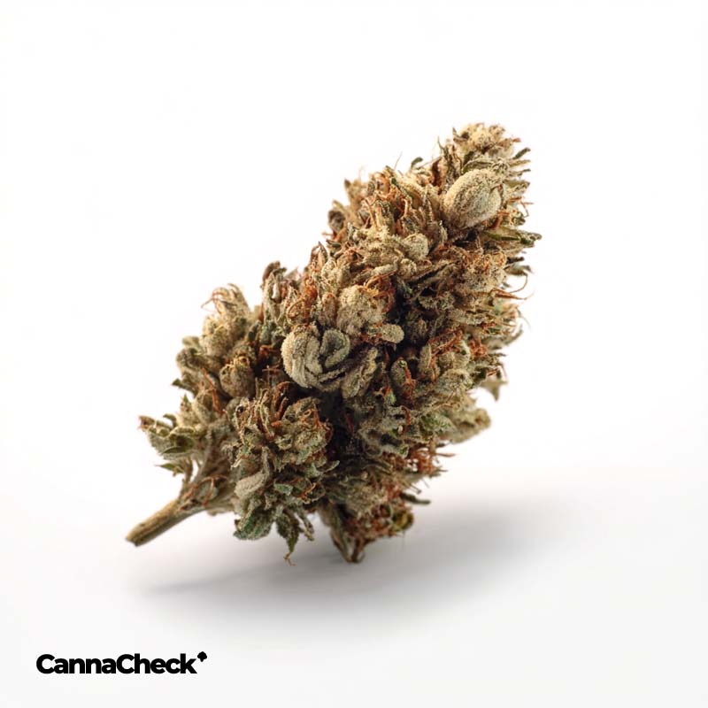 IMC TKH THC27 Pineapple Express