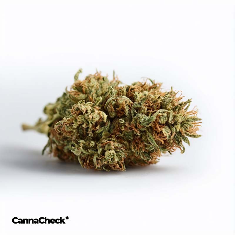 TRUU GT 28:01 Cookies OG