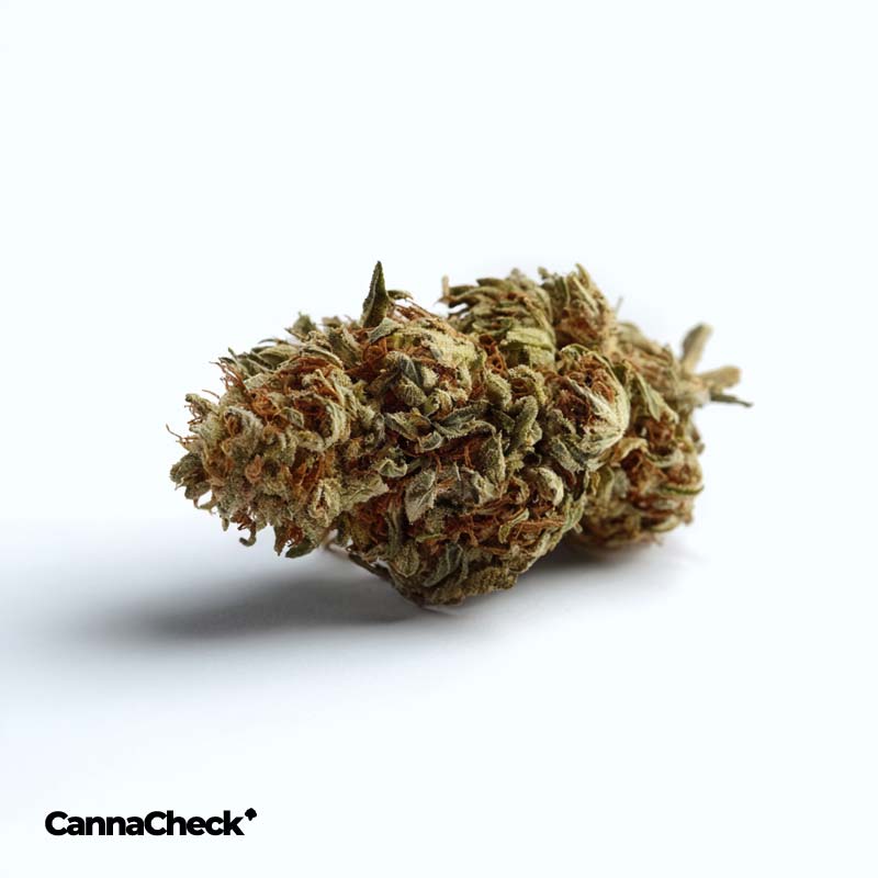 420 Natural 17/1 CA TRP Tropicana Cookies