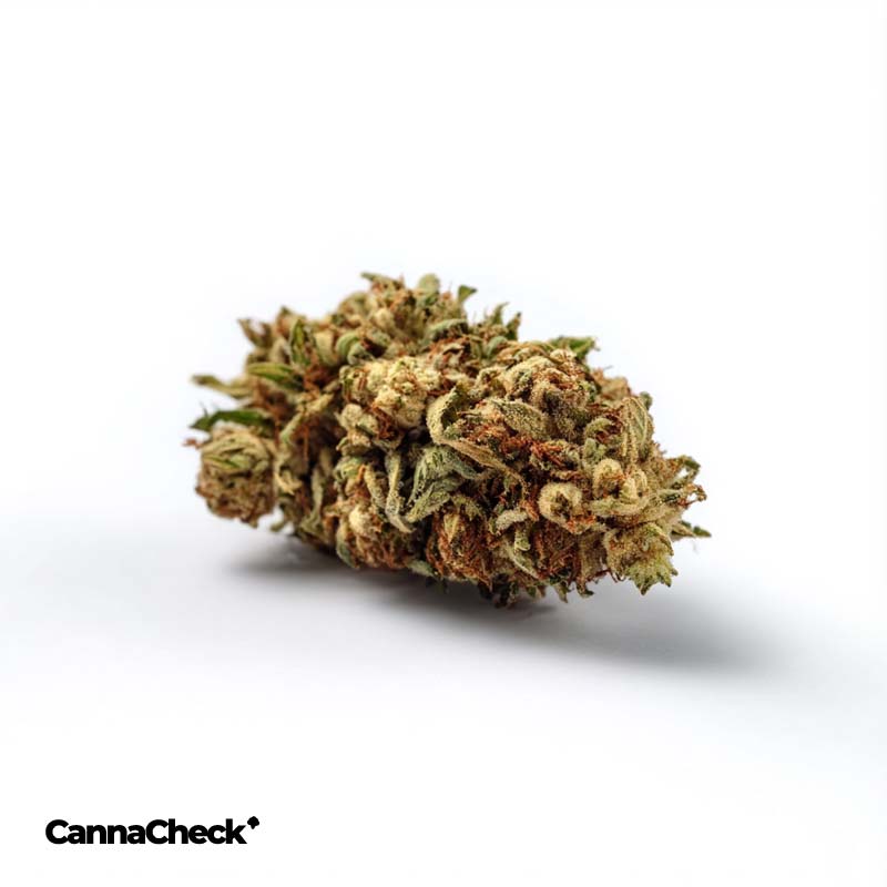 Tilray THC 18 Spotlight Porto Sour Diesel