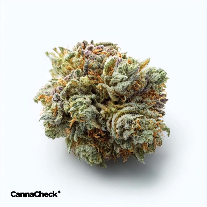 Remexian 30/1 CHE Chem Cookies