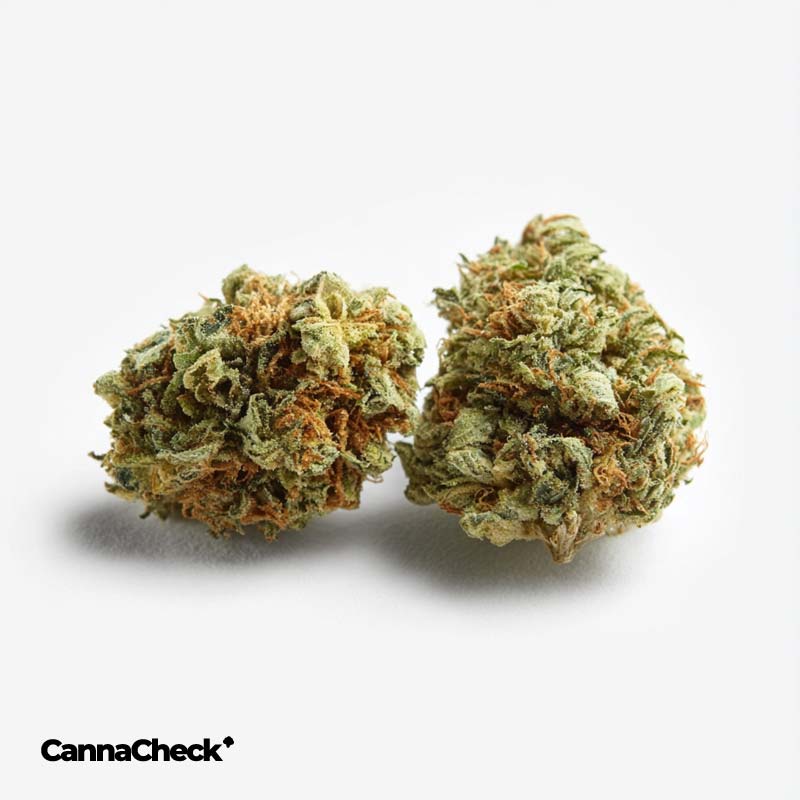 420 Compound 30/1 CA BBW Bling Blaow