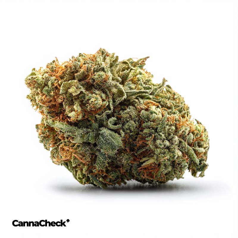 Sibanax GMO Zkittlez 21/1