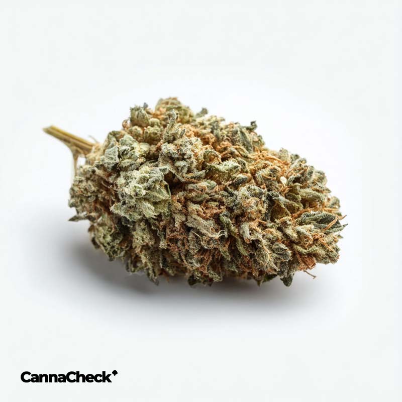 Peace Naturals 33/1 GC GMO Cookies