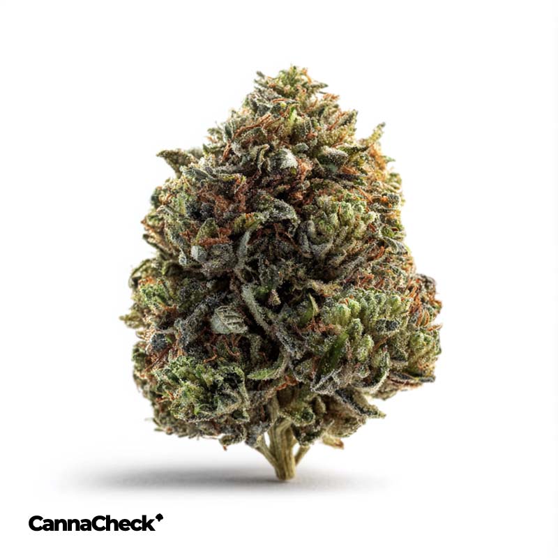 420 Sungrown 18/1 CA DOG Chemdog