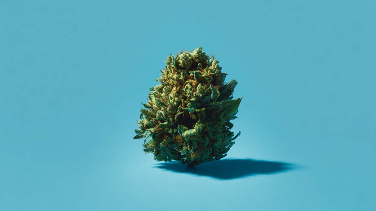 Releaf Teleklinik in Deutschland: Erfahrungen, Kosten & Test