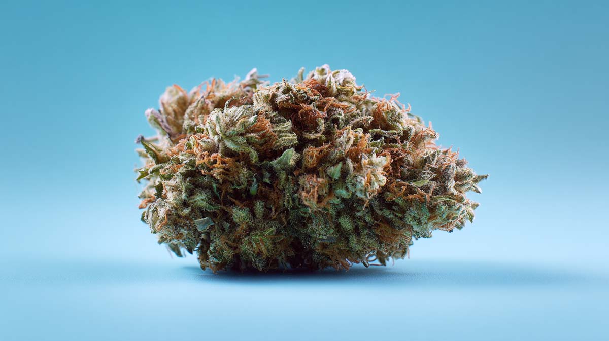 Banana Kush / Banana Sorten in deutschen Apotheken — Wirkung, Preise & Verfügbarkeit