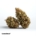 Cannabis Blüte Preisvergleich