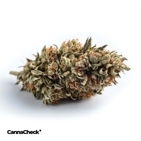 enua 30/1 CCK-GBZ CA Guava Barz