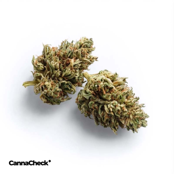 enua 25/1 SBD CA Strawberry Diesel
