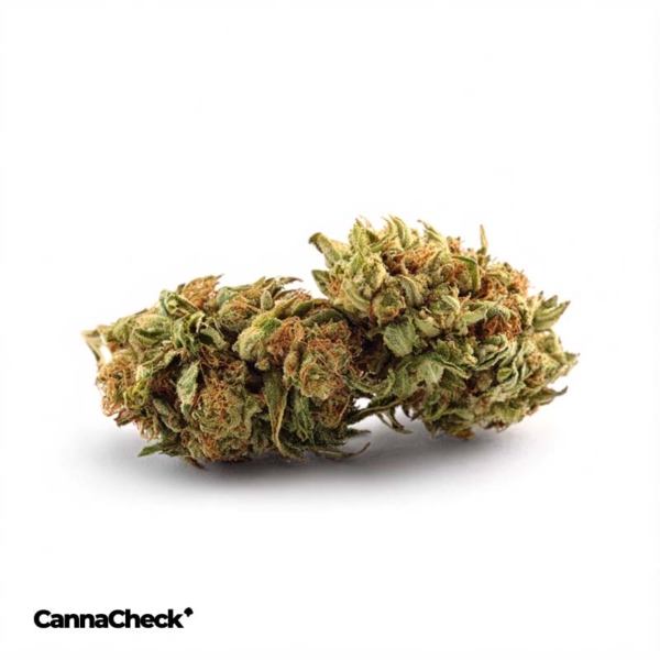 Bedrolite Cannabis Flos 1/9