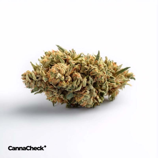 Bedrocan Cannabis Flos 22/1