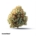 Cannamedical Hybrid Classic 20/1 Fullgas