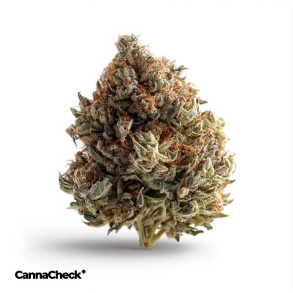 Together Pharma Glueberry OG