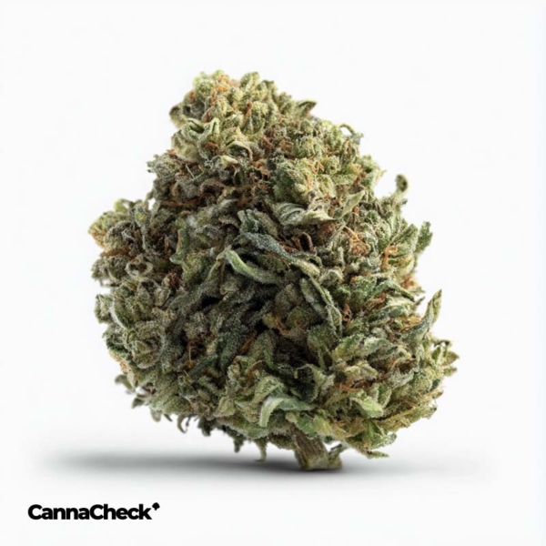 Tilray THC10:CBD10 (Cannabisextrakt)