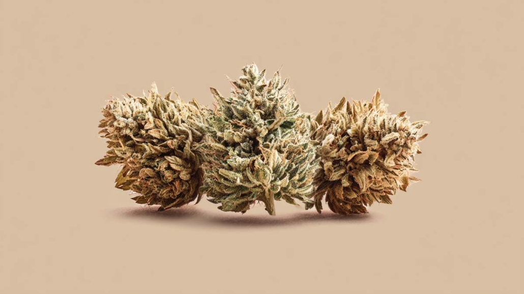 cannabis-sorten-foto-studio-shop-produkt-apotheke-erdigs-wurziges-aroma-(3)