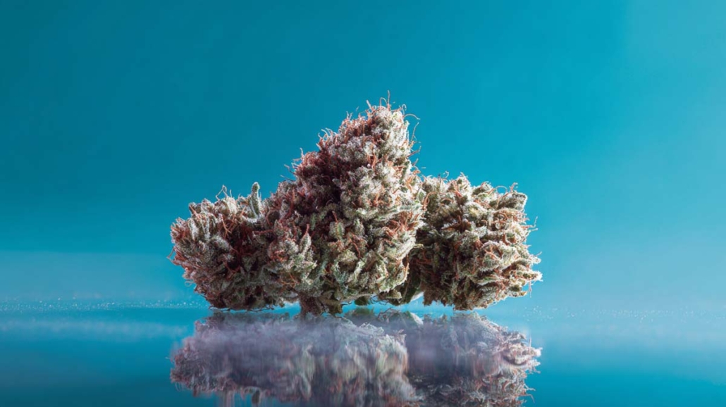 cannabis-sorten-foto-studio-shop-produkt-apotheke-terpen-entspannung-ruhe-cbd-boost-spiegelung-boden